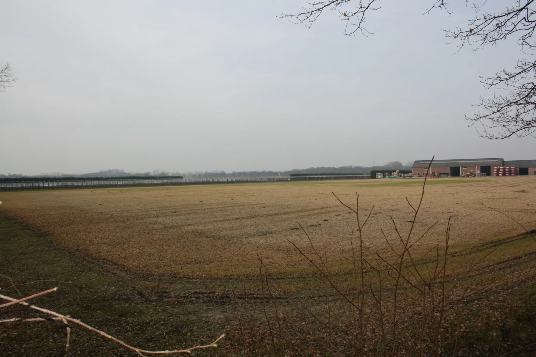 Lid projectteam bedrijventerrein Eeneind West